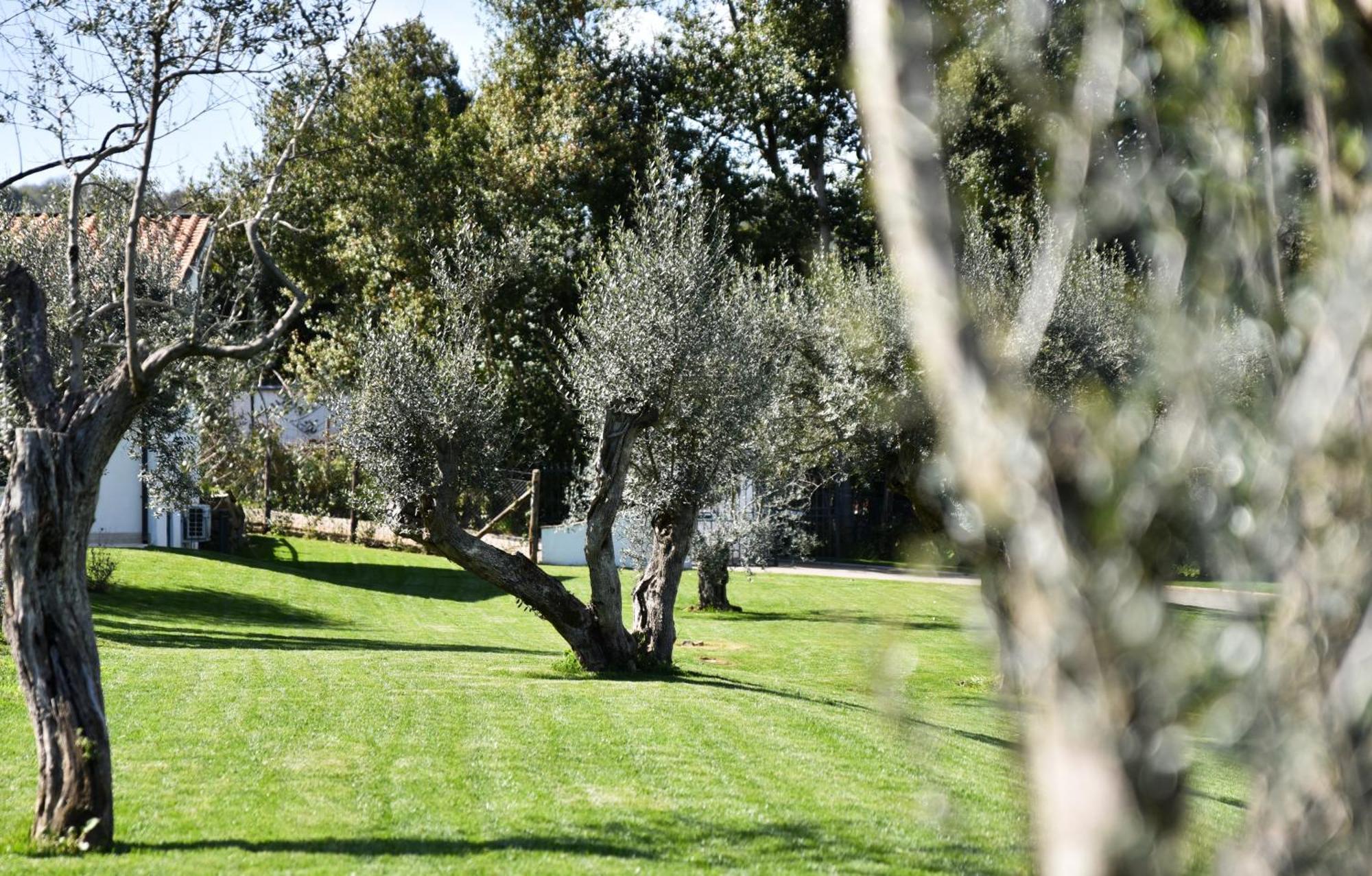 Vigna Caio Relais & Spa (Adults Only) Bracciano  Exterior photo